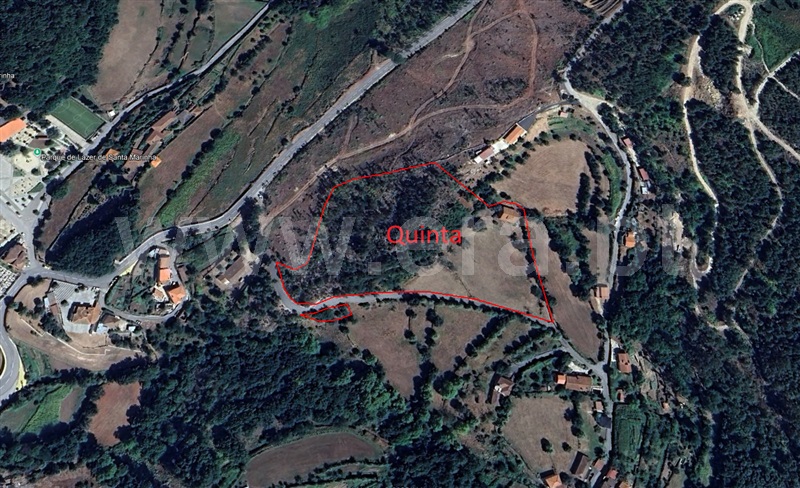 Quinta T6 Ribeira de Pena, Vila Real - 1325089 - 16