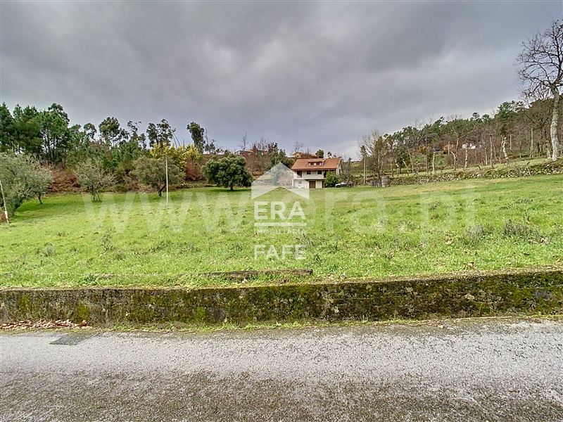 Quinta T6 / Ribeira de Pena, Vila Real