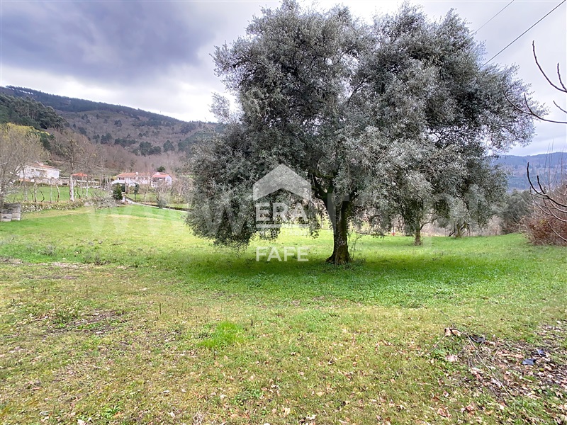 Quinta T6 Ribeira de Pena, Vila Real - 1325089 - 39