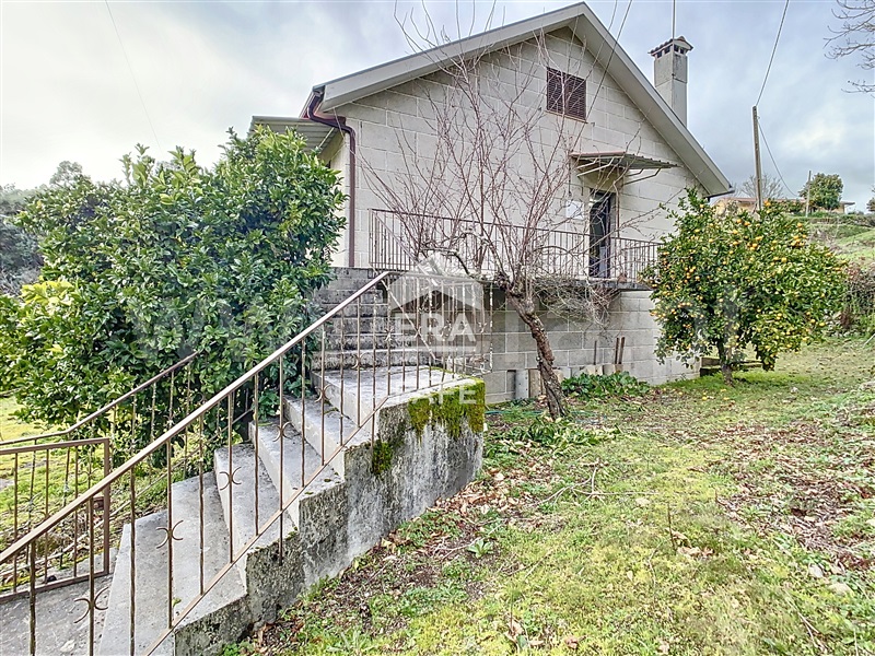 Quinta T6 Ribeira de Pena, Vila Real - 1325089 - 43
