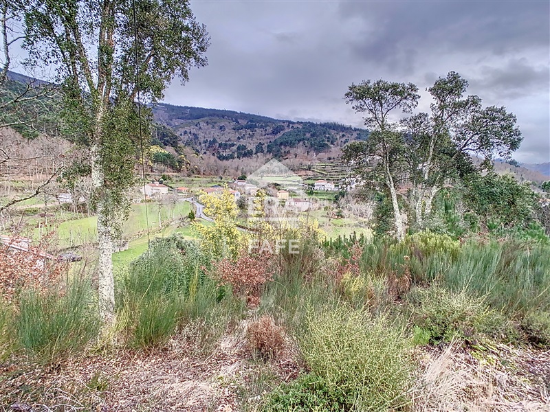 Quinta T6 Ribeira de Pena, Vila Real - 1325089 - 47
