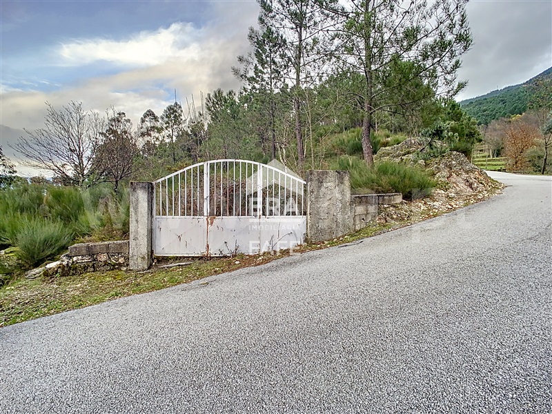 Quinta T6 Ribeira de Pena, Vila Real - 1325089 - 64