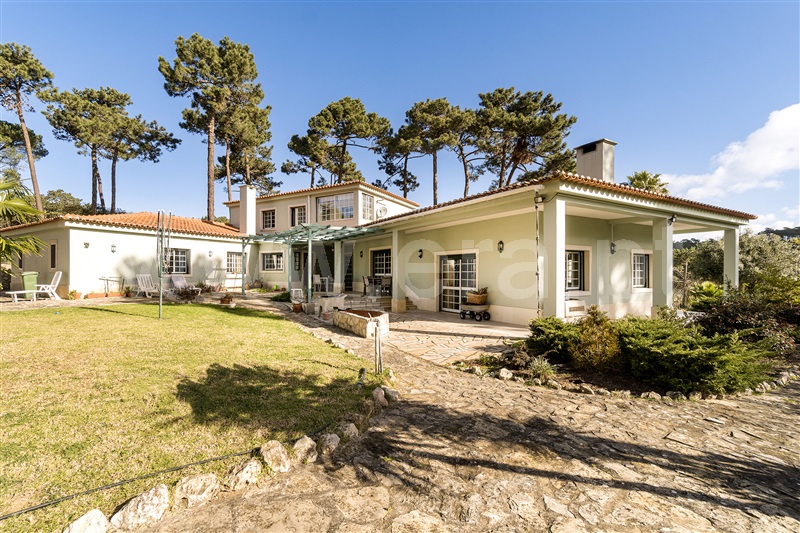 Quinta T6 / Sintra, Colares