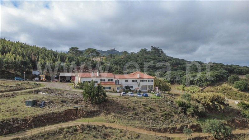 Quinta T6 / Sintra, Sintra (Santa Maria e São Miguel, São Martinho e São Pedro de Penaferrim)
