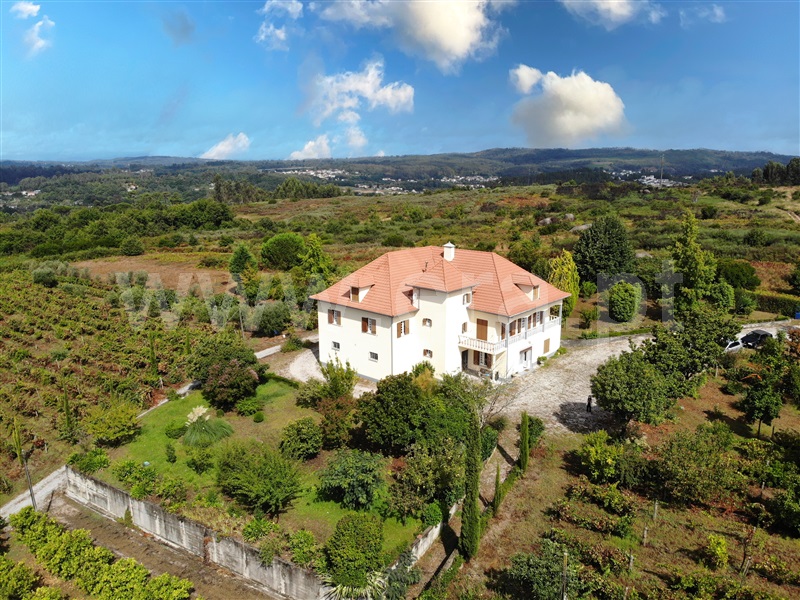 Quinta T6 / Viseu, Viseu