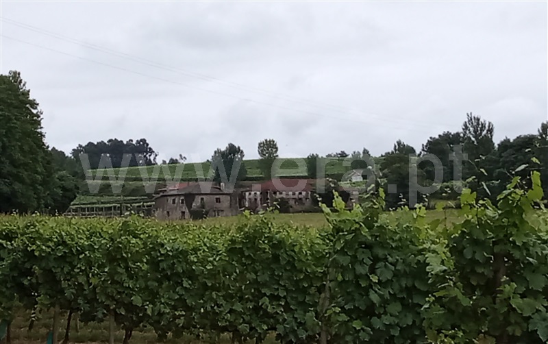 Quinta T5 Amares, Rendufe - 1429520 - 1
