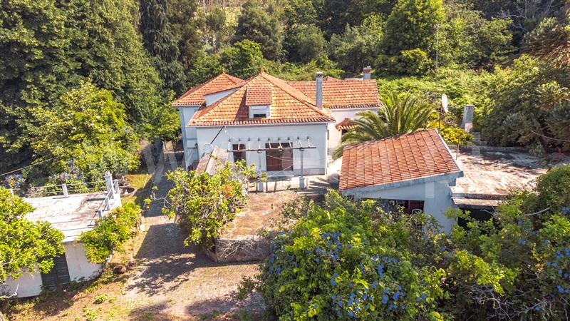 Quinta T7 / Caminha, Seixas