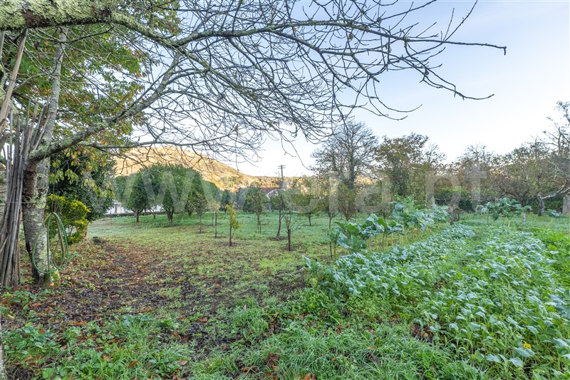 Quinta T7 Caminha, Vilar de Mouros - 1444965 - 70