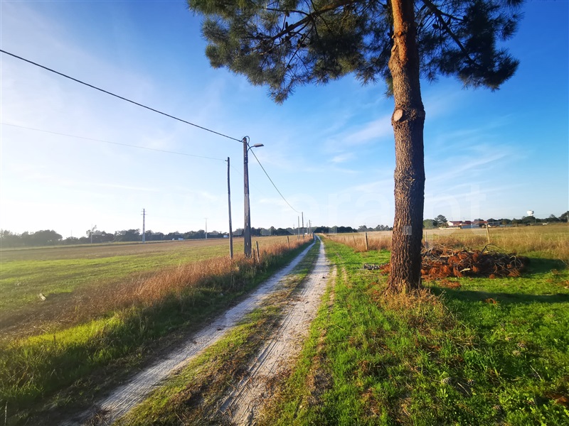 Herdade T7 Grândola, Grândola e Santa Margarida da Serra - 1397969 - 30