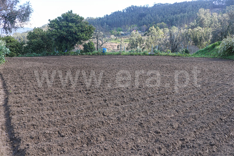Quinta T7 Vale de Cambra, São Pedro de Castelões - 1305989 - 1