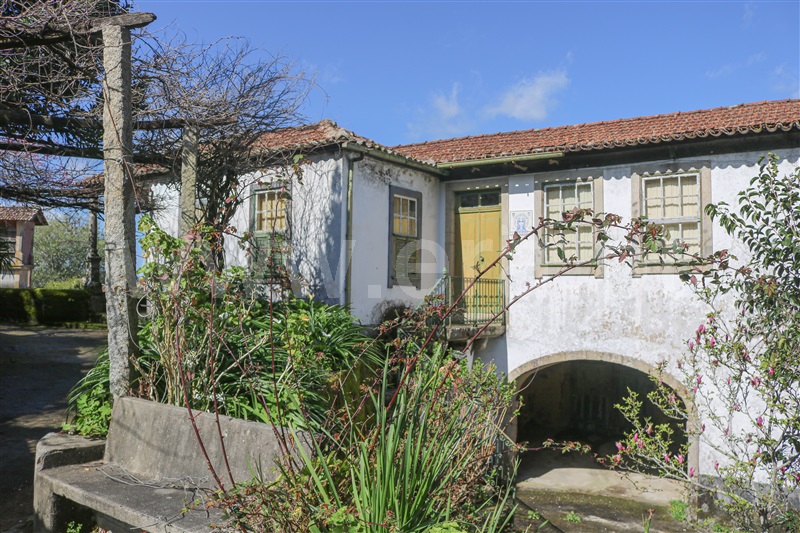 Quinta T7 / Vale de Cambra, São Pedro de Castelões