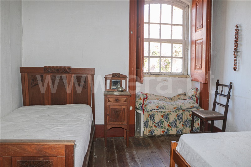 Quinta T7 Vale de Cambra, São Pedro de Castelões - 1305989 - 6