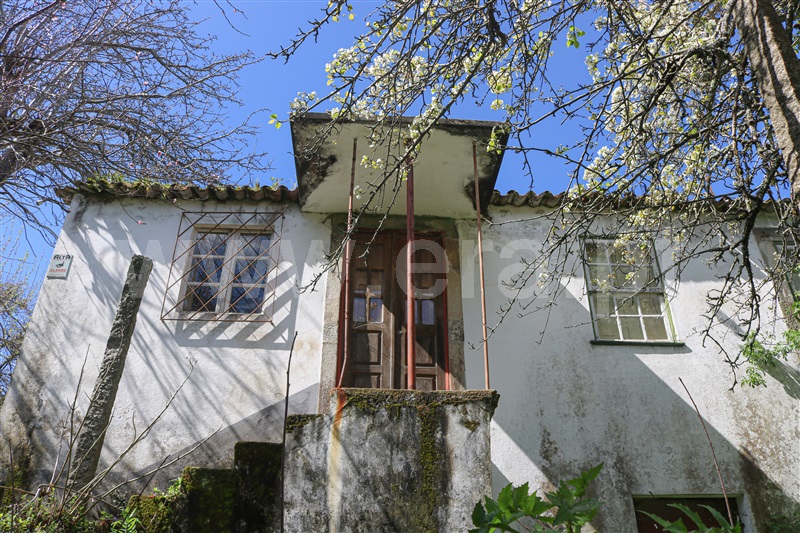 Quinta T7 Vale de Cambra, São Pedro de Castelões - 1305989 - 12