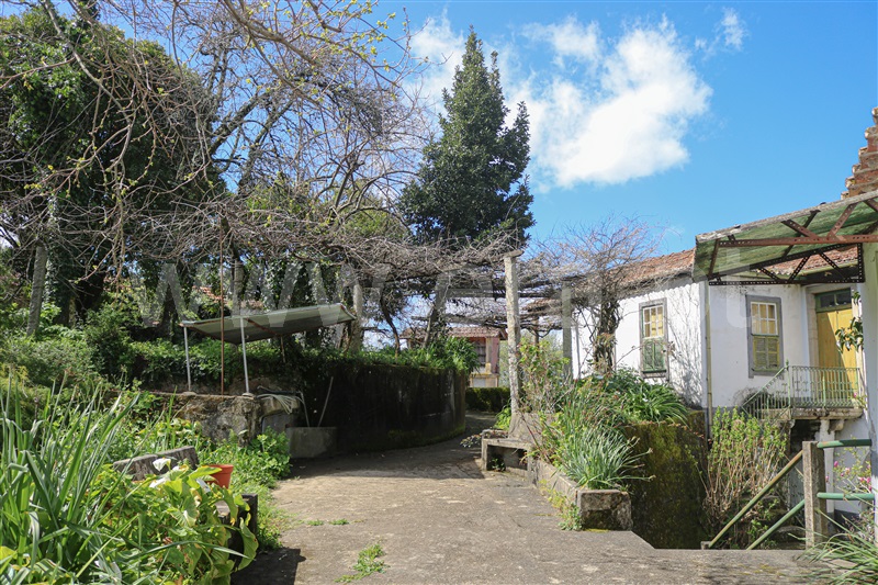 Quinta T7 Vale de Cambra, São Pedro de Castelões - 1305989 - 13