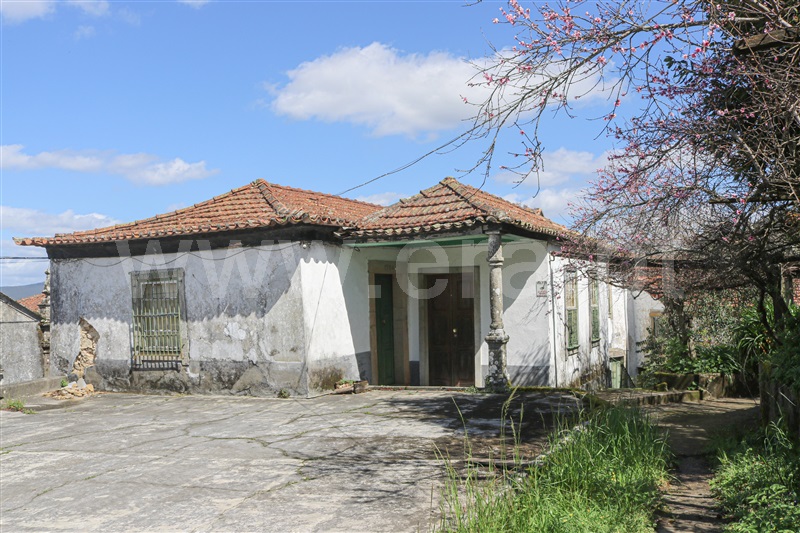 Quinta T7 Vale de Cambra, São Pedro de Castelões - 1305989 - 14