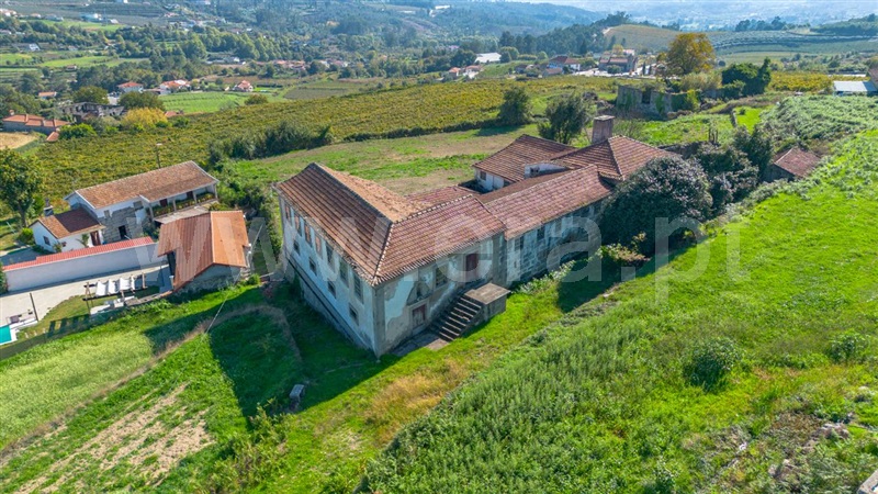 Quinta T8 / Amarante, Figueiró (Santiago e Santa Cristina)