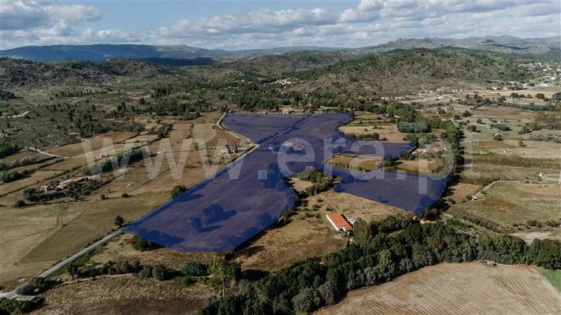 Quinta T8 com Grande Belmonte, Inguias - 1449573 - 50