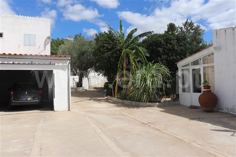 Quinta T8 / Mação, Ortiga