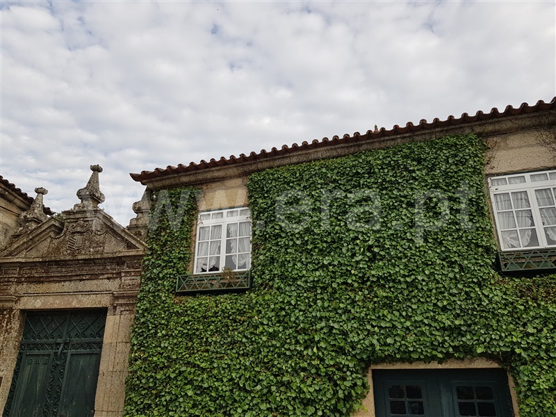 Quinta T8 / Santa Marta de Penaguião, Cumieira