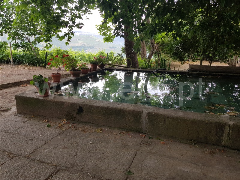 Quinta T8 Santa Marta de Penaguião, Cumieira - 1095495 - 13