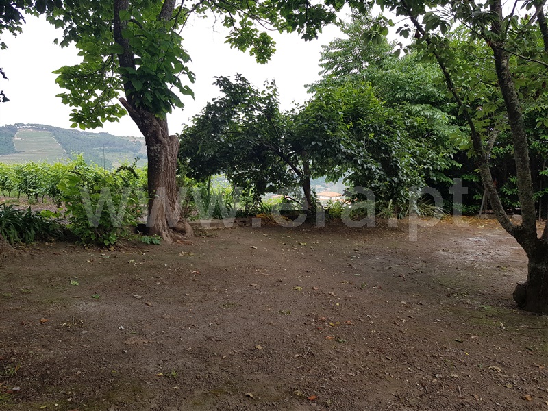 Quinta T8 Santa Marta de Penaguião, Cumieira - 1095495 - 14