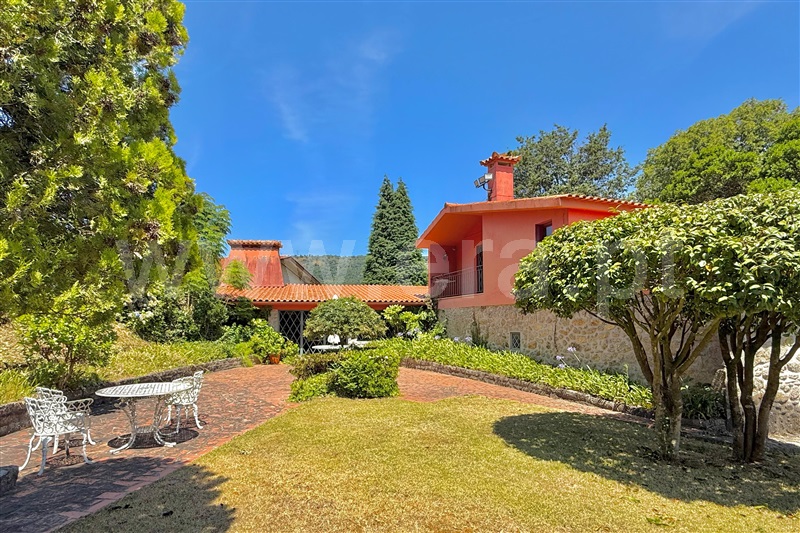 Quinta T8 / Viana do Castelo, Barroselas e Carvoeiro