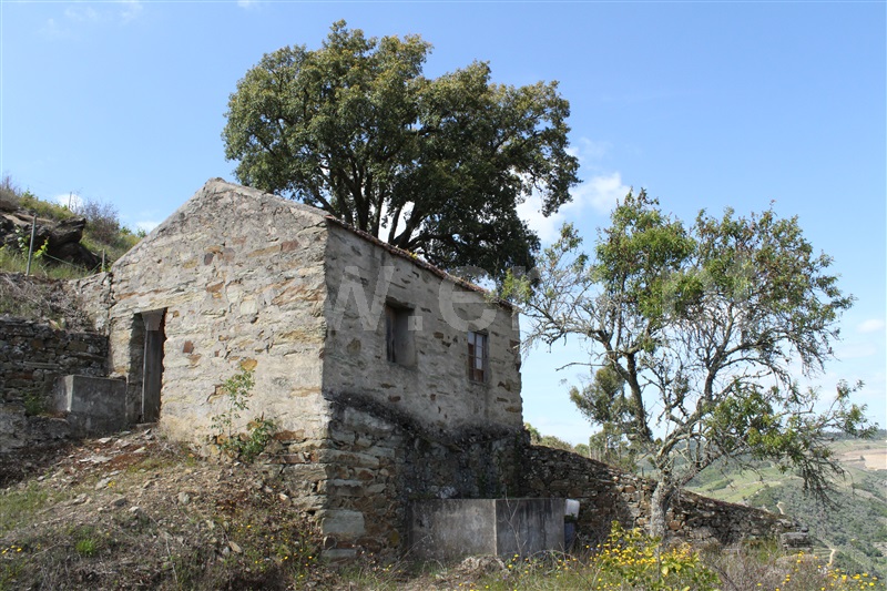 Quinta T5 Peso da Régua, Poiares e Canelas - 1407815 - 15