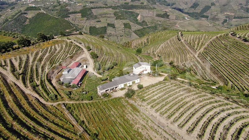 Quinta T9 / Peso da Régua, Poiares e Canelas