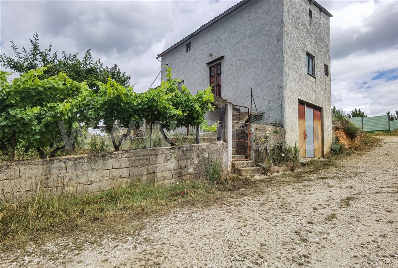 Quinta  Tábua, Candosa - 1238780 - 14