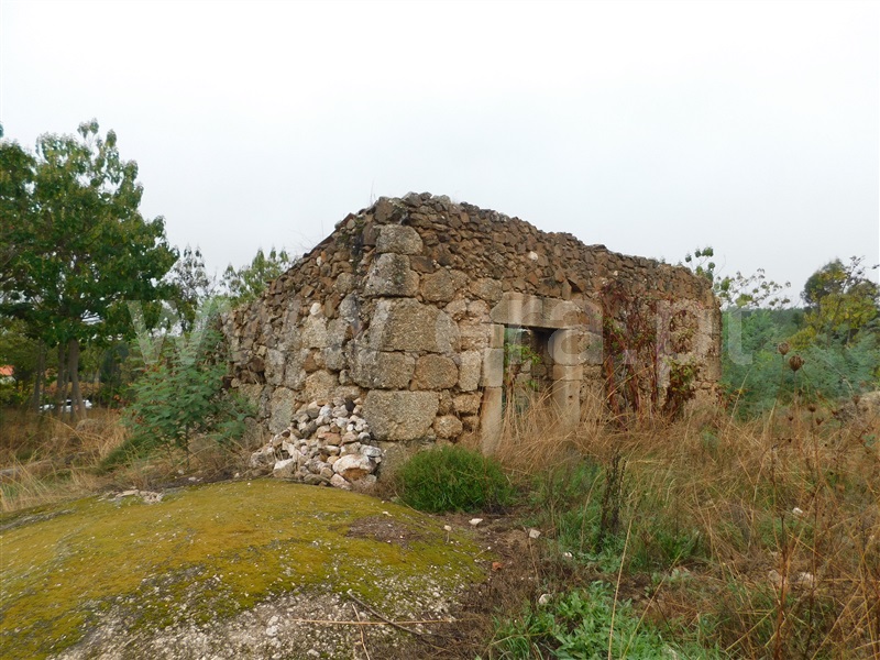 Quinta / Tábua, Covas e Vila Nova de Oliveirinha
