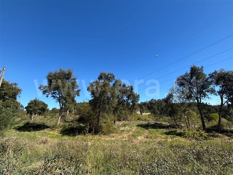 Terreno  Tábua, Espariz e Sinde - 1474321 - 3