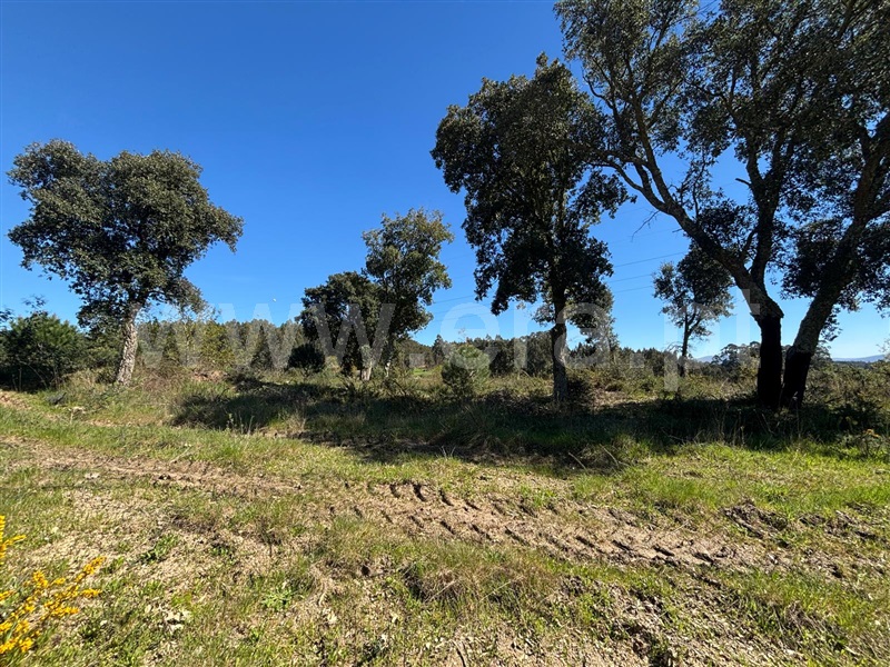 Terreno  Tábua, Espariz e Sinde - 1474321 - 4