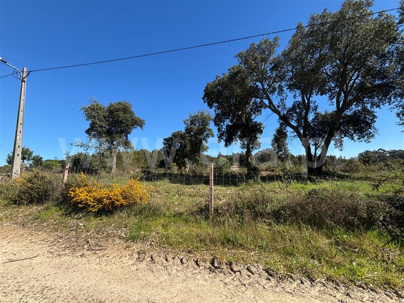 Terreno  Tábua, Espariz e Sinde - 1474321 - 6
