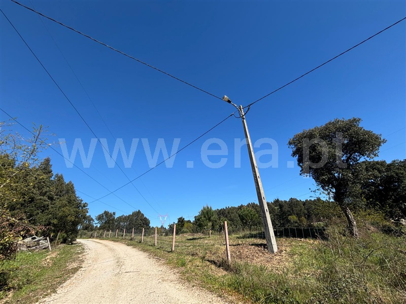 Terreno  Tábua, Espariz e Sinde - 1474321 - 7