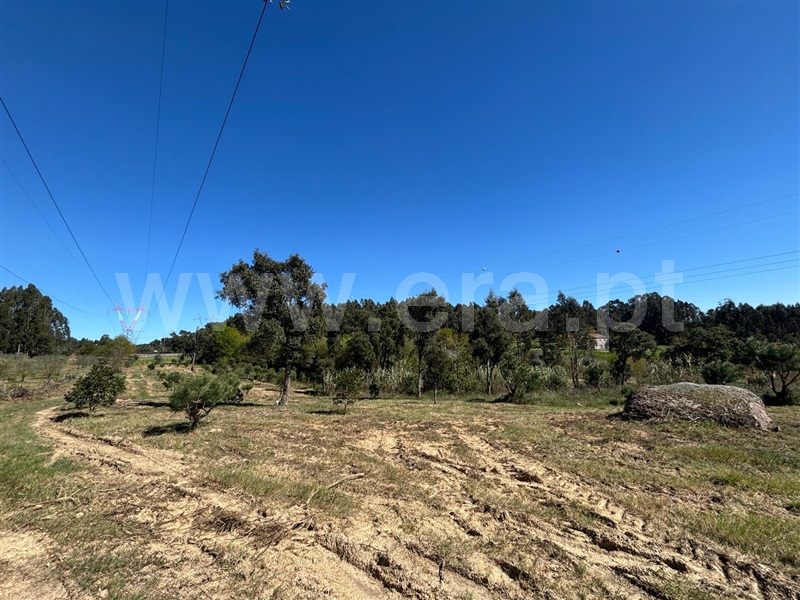 Terreno  Tábua, Espariz e Sinde - 1474321 - 8