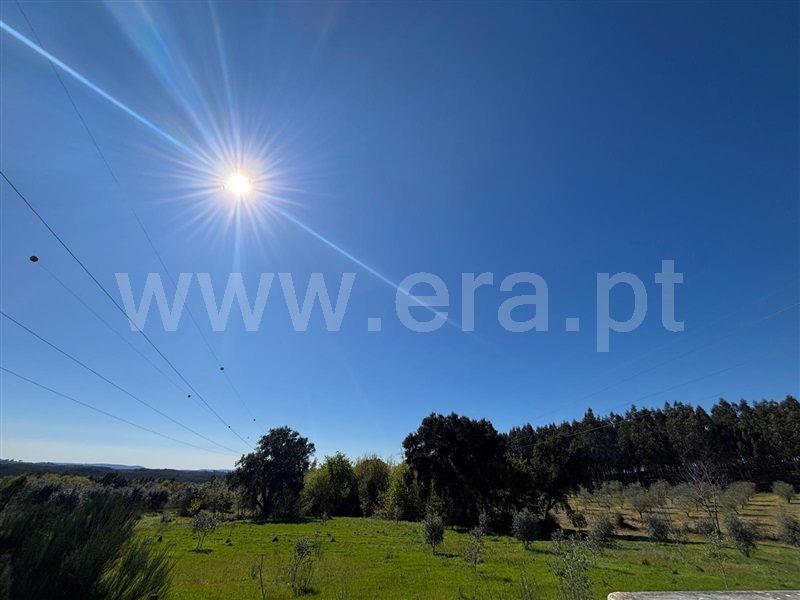 Terreno  Tábua, Espariz e Sinde - 1474321 - 9