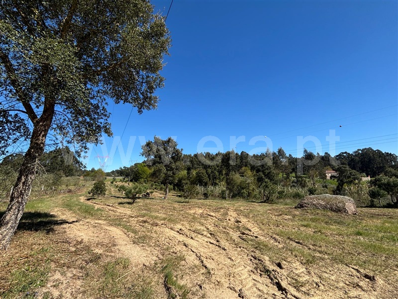 Terreno  Tábua, Espariz e Sinde - 1474321 - 13