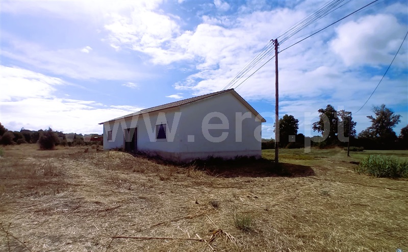 Quinta  Tomar, Tomar (São João Baptista) e Santa Maria dos Olivais - 1504653 - 2