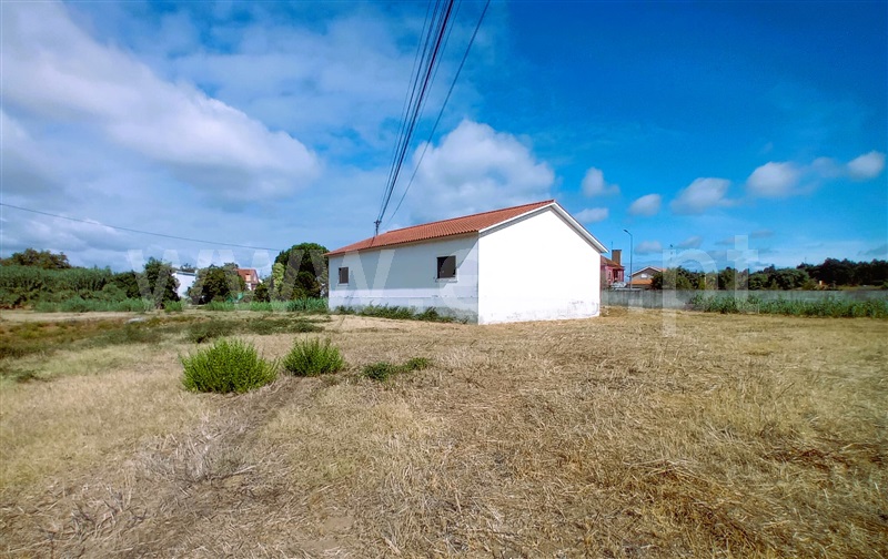 Quinta  Tomar, Tomar (São João Baptista) e Santa Maria dos Olivais - 1504653 - 3