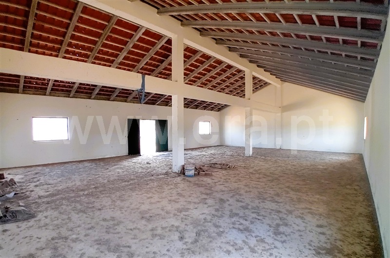 Quinta  Tomar, Tomar (São João Baptista) e Santa Maria dos Olivais - 1504653 - 8