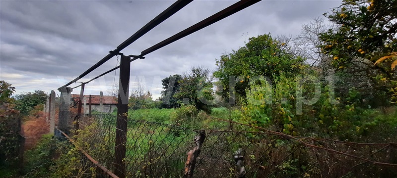 Moradia  Tondela, Castelões - 1236385 - 19