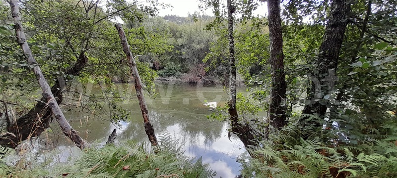Quinta  Tondela, Lobão da Beira - 1363899 - 1