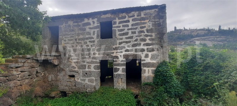 Quinta  Tondela, Lobão da Beira - 1363899 - 5