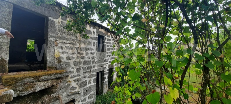 Quinta  Tondela, Lobão da Beira - 1363899 - 6
