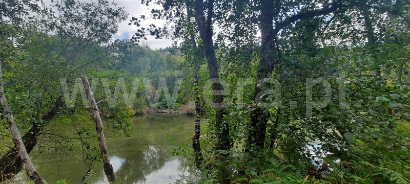Quinta  Tondela, Lobão da Beira - 1363899 - 9