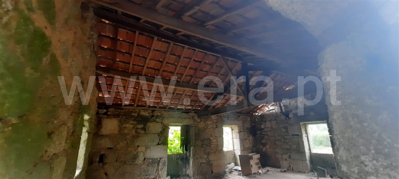 Quinta  Tondela, Lobão da Beira - 1363899 - 10