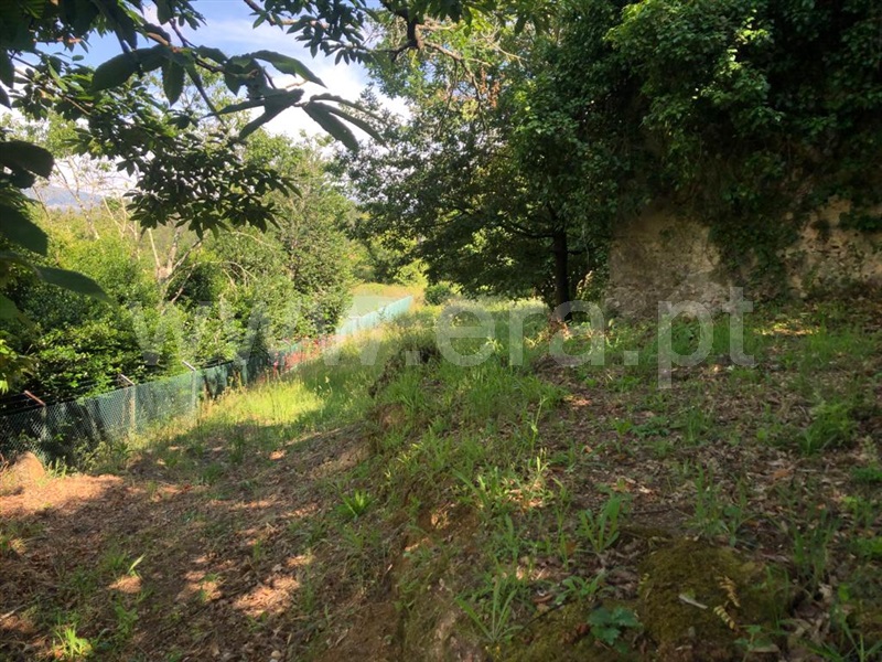 Terreno  Vale de Cambra, Vila Chã, Codal e Vila Cova de Perrinho - 1335451 - 2