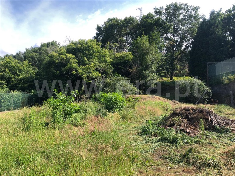 Terreno  Vale de Cambra, Vila Chã, Codal e Vila Cova de Perrinho - 1335451 - 3