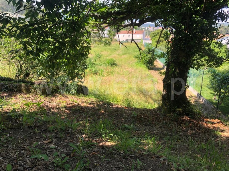 Terreno  Vale de Cambra, Vila Chã, Codal e Vila Cova de Perrinho - 1335451 - 9