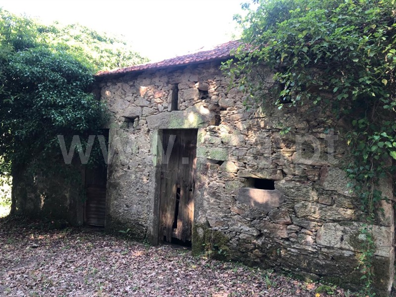 Terreno  Vale de Cambra, Vila Chã, Codal e Vila Cova de Perrinho - 1335451 - 11